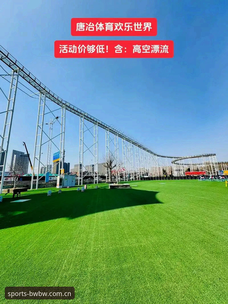 宝威体育平台安卓版安装使用教程：从下载到畅玩全流程解析